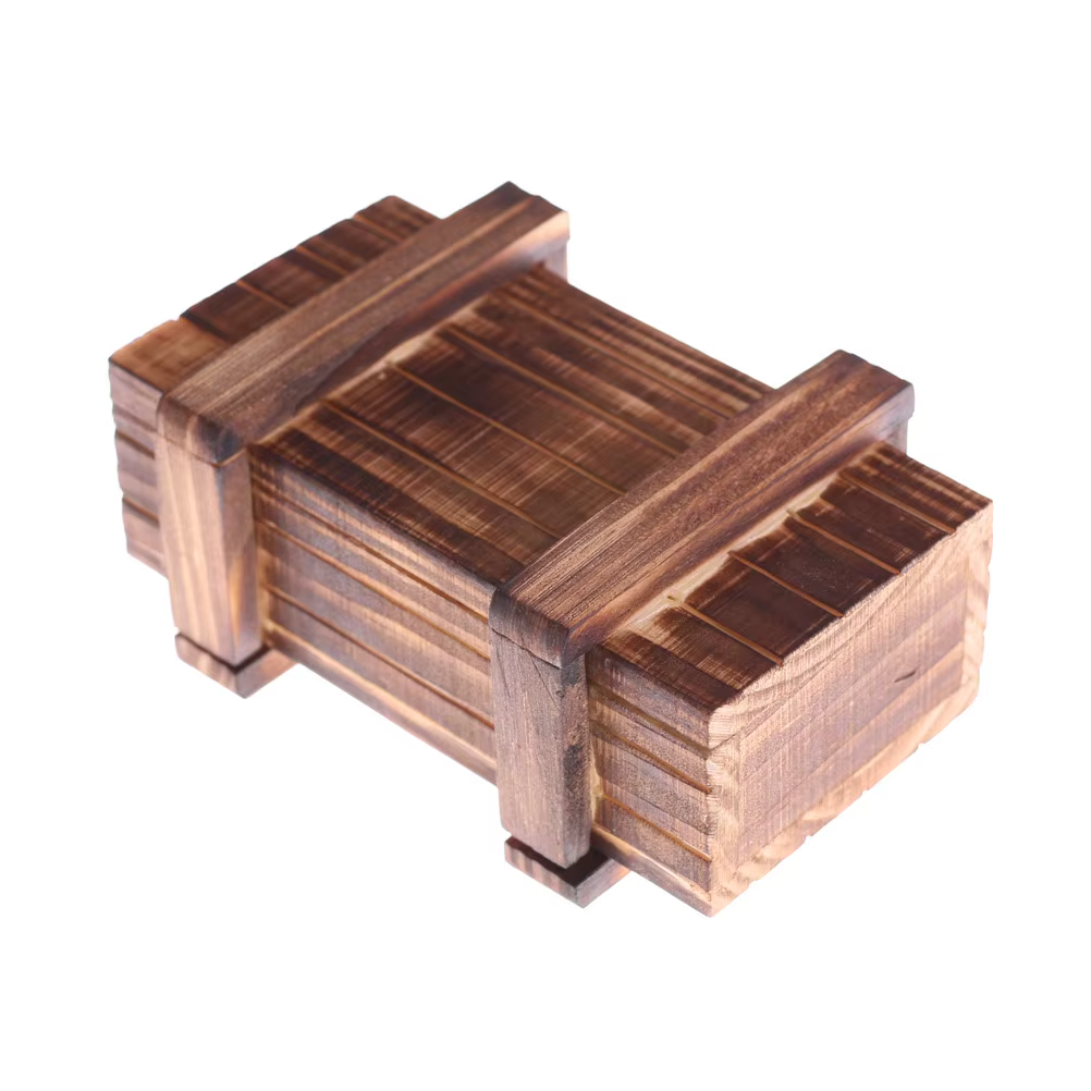 Boîte de Puzzle en Bois à Compartiment Magique avec SecExamen MELBrain Teaser