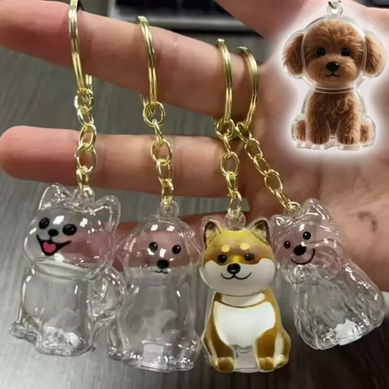 Boîte de rangement de poils de chien