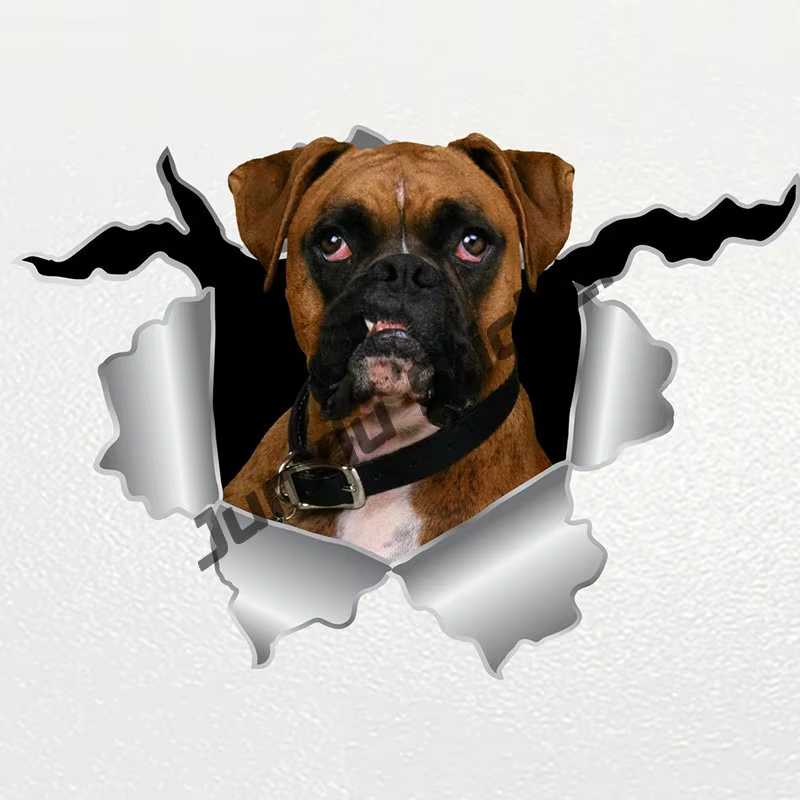 Dessin animé animaux décalcomanies Boxer chien voiture décalcomanie