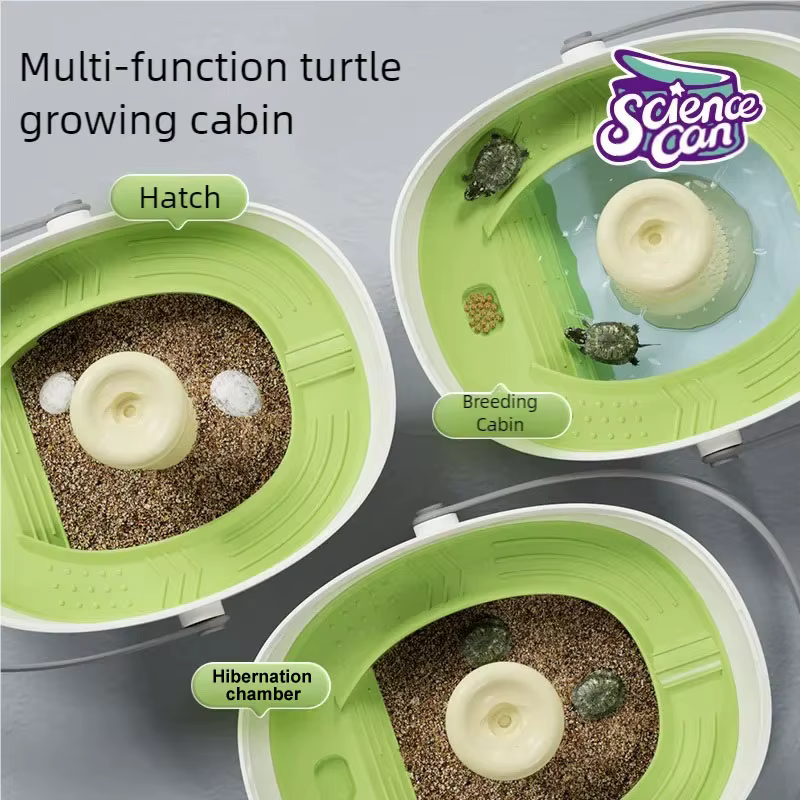 Les œufs de tortue peuvent trappes et cultiver dans un organisme vivant. Plate-forme d'escalade