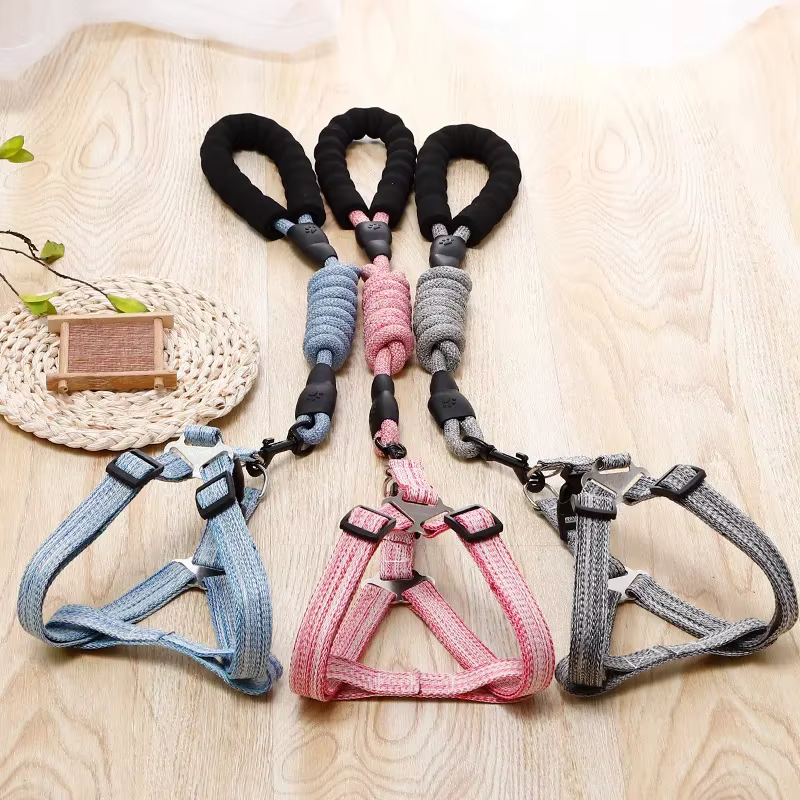Harnais pour chien 1.2M ensemble de laisse pour petits chiens réglable chiot chat