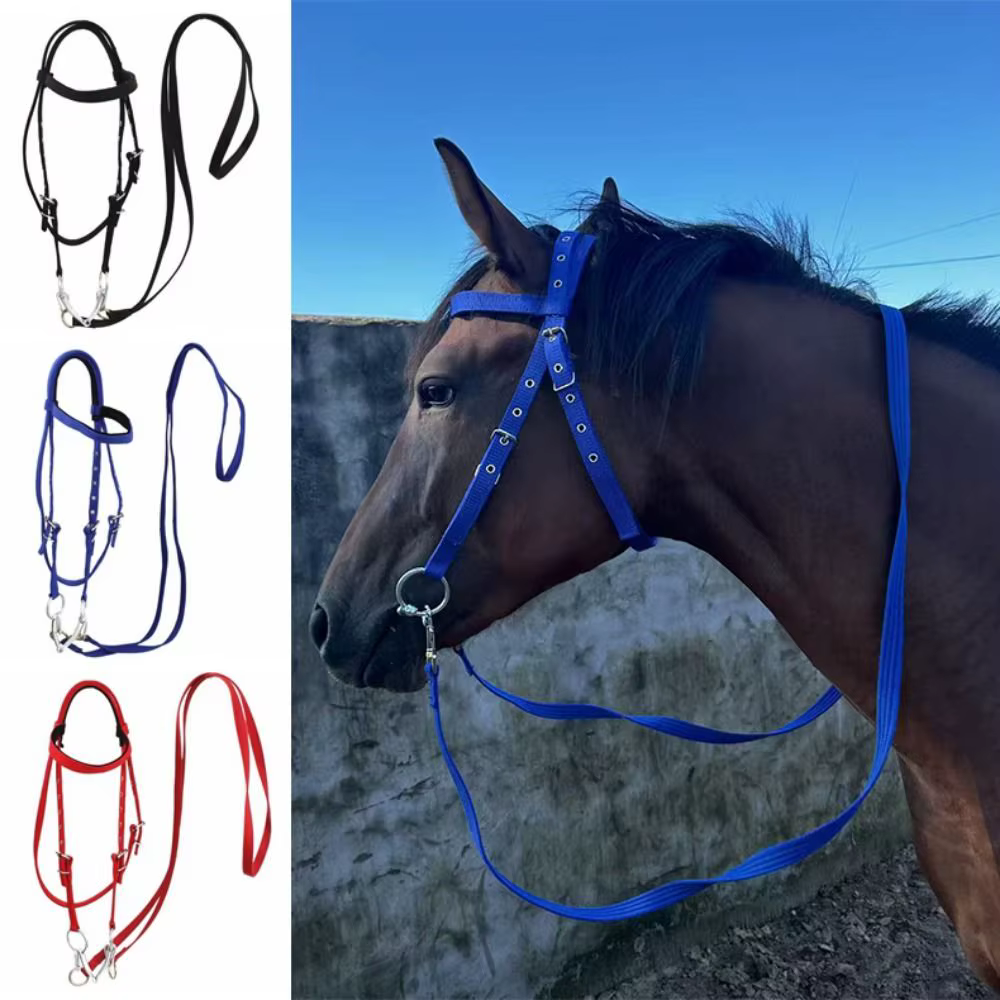 Licouets de cheval épais, sangle réglable et confortable, bandeau de mariée, harnais de cheval, civière de cou de cheval Durable, équipement de cheval