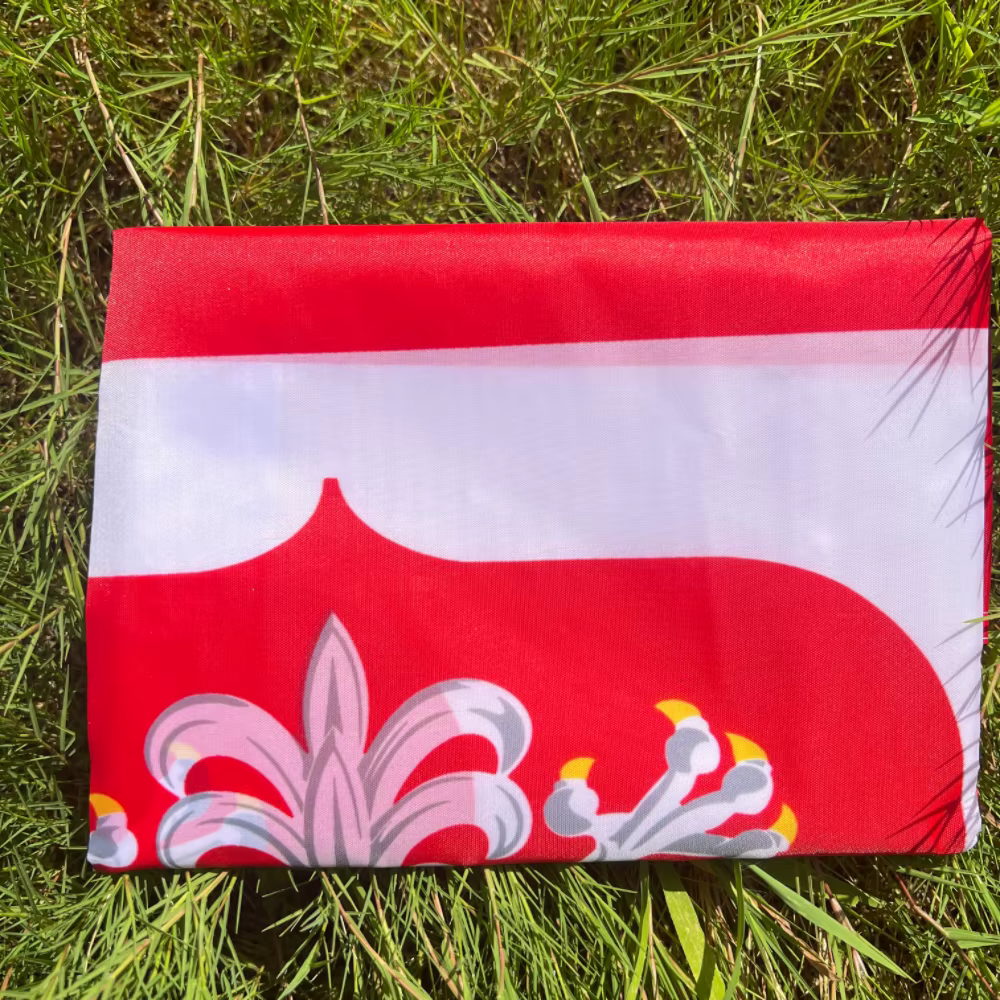 Drapeaux de la Pologne UE 90*150cm