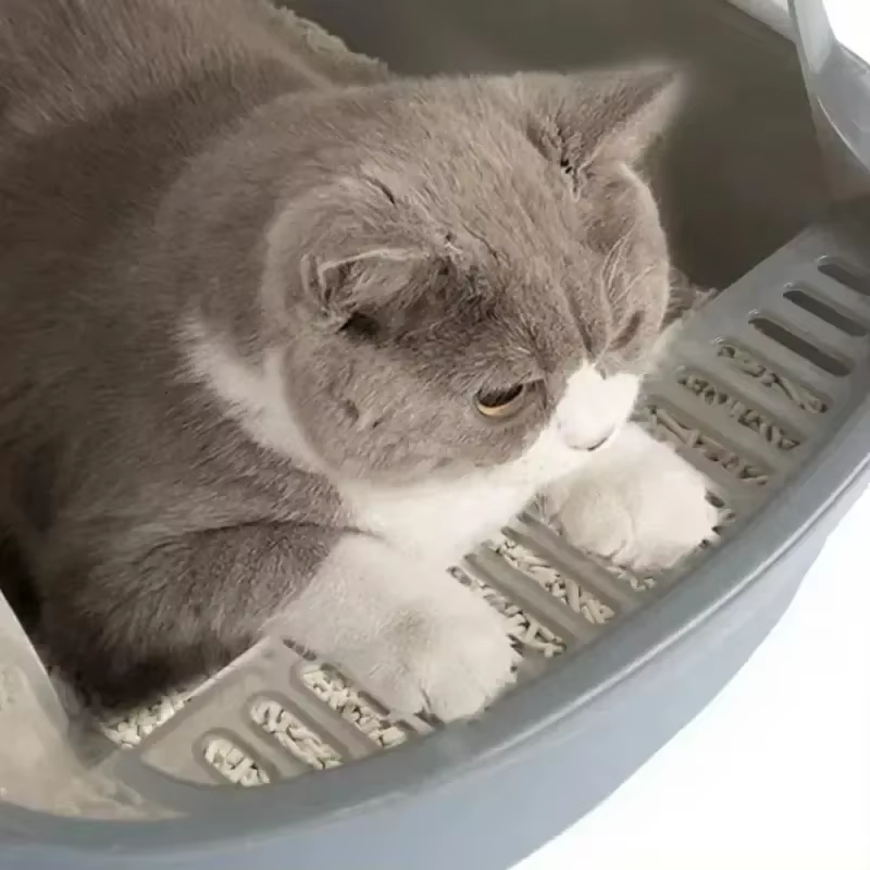 Bac à litière pour chat