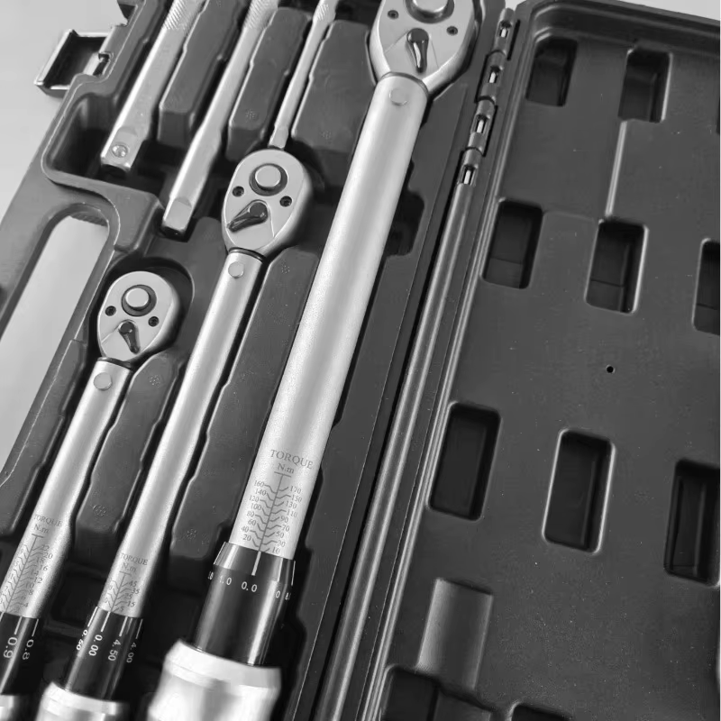 1/4 "2-24N.m 3/8" 5-60N.m 1/2 "20-220N.m 6 pièces jeu de clés dynamométriques clé à cliquet dynamométrique réglable préréglée de haute précision