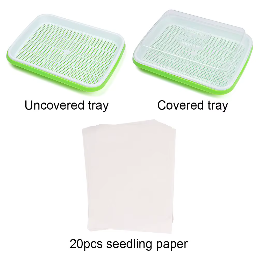 Maison jardin culture hors sol pépinière papier plante boîte graine germener plateau germe Pot pousser Pots