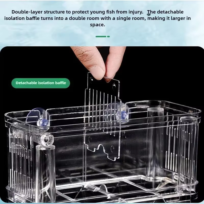 Boîte d'élevage de poissons d'aquarium