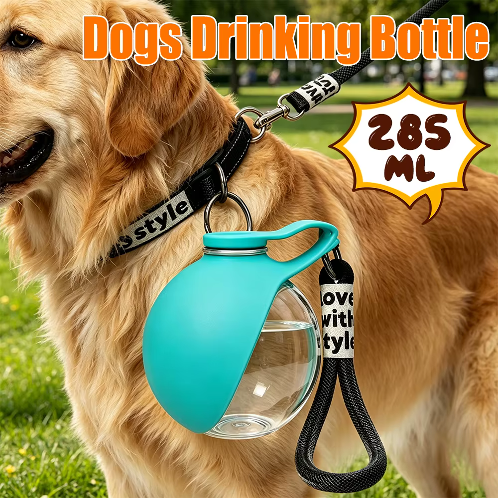 Bouteille d'eau pour chien 2 en 1 avec crochet de suspension