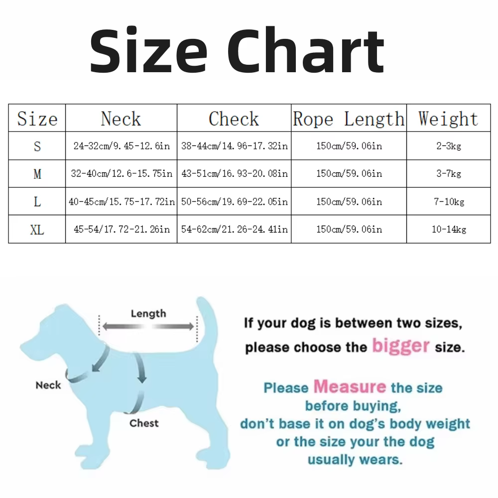 Harnais pour chien avec laisse de 1