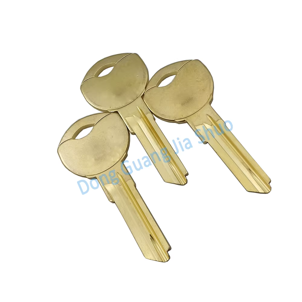 JS 2317 clé spéciale multi-fentes de forme spéciale clé allemande vierge