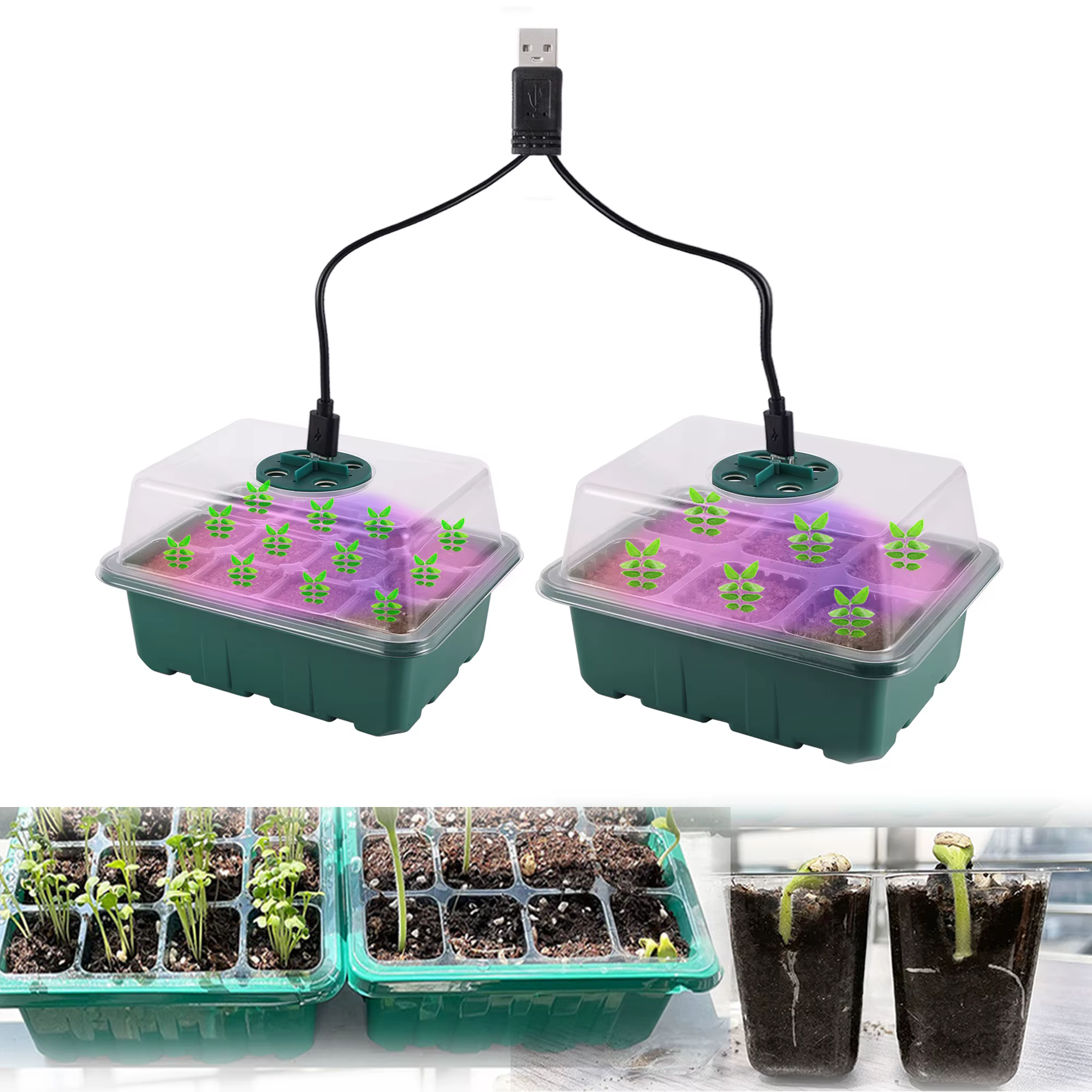 Boîte de plateau de démarrage de graines avec LED