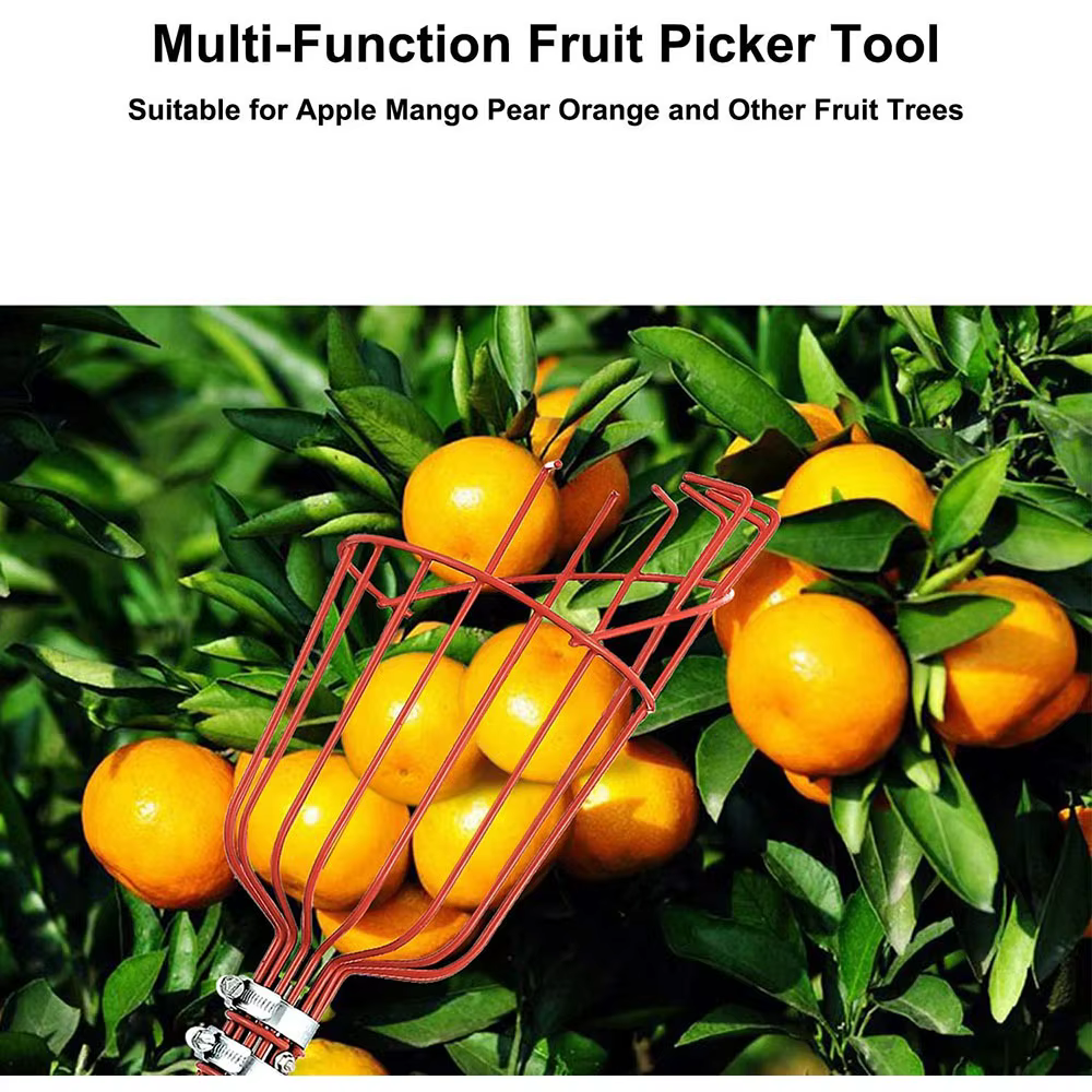 Cueilleur de fruits de 260 cm
