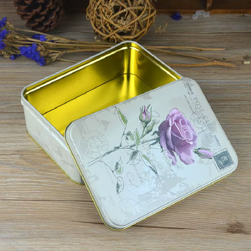 Grande boîte rectangulaire en fer blanc pour biscuits et oiseaux