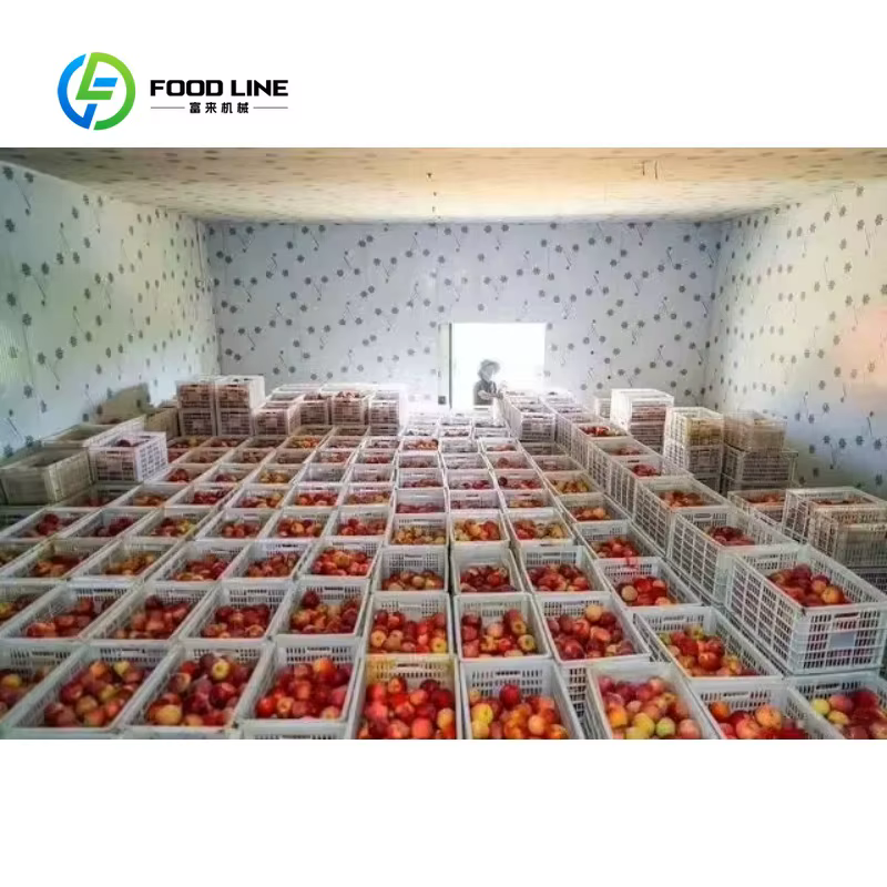 Stockage au froid compact personnalisé peu encombrant